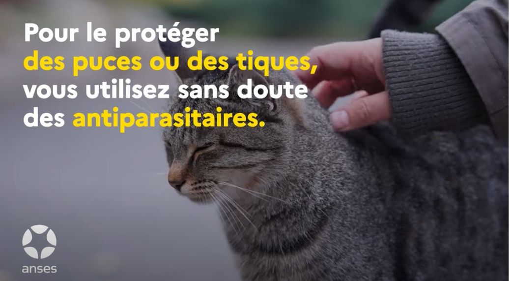 antiparasitaire animaux